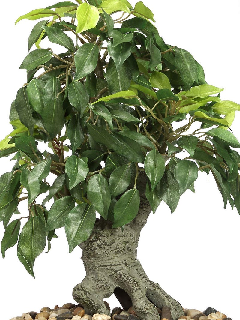 Fourwalls Artificial Ficus Bonsai Plant in a Ceramic Vase for Home and Office Decor (247 Leafs, 37 cm Tall, Mixed Material, Green) - Image 5