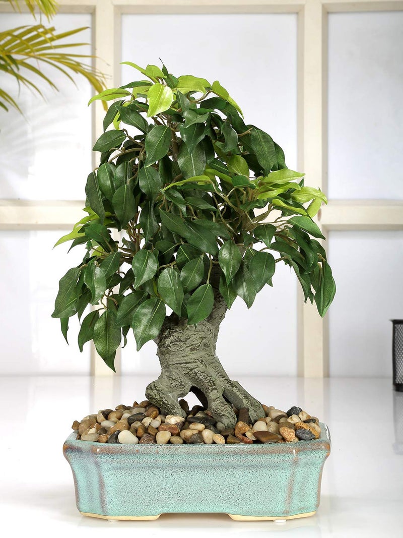 Fourwalls Artificial Ficus Bonsai Plant in a Ceramic Vase for Home and Office Decor (247 Leafs, 37 cm Tall, Mixed Material, Green) - Image 1