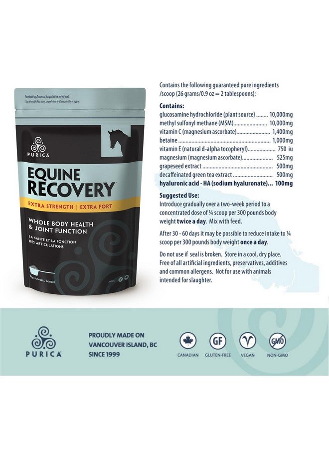 PURICA Equine Hyaluronic Acid - Horse Joint Support Supplement with Glucosamine, MSM Powder, Betaine, Magnesium, Vitamin C and E - Green Tea and Grape Seed Extract - Horse Supplies and Treats - Image 2