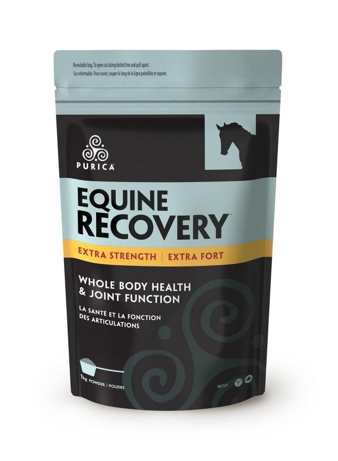 PURICA Equine Hyaluronic Acid - Horse Joint Support Supplement with Glucosamine, MSM Powder, Betaine, Magnesium, Vitamin C and E - Green Tea and Grape Seed Extract - Horse Supplies and Treats - Image 1