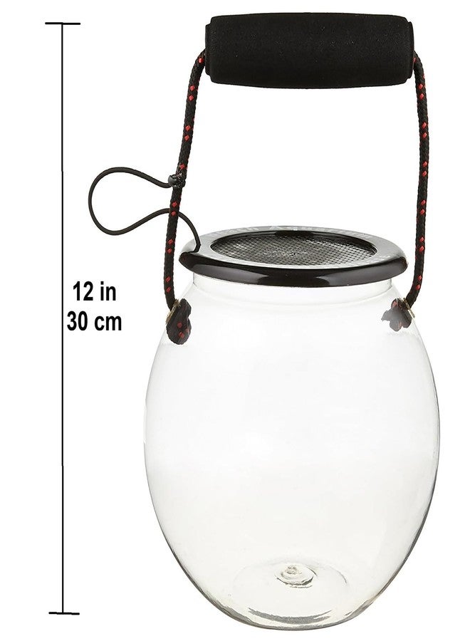 Flat River Group Dry Branch Sports Design Catch and Release Beach Aquarium Kit , Clear - Image 2