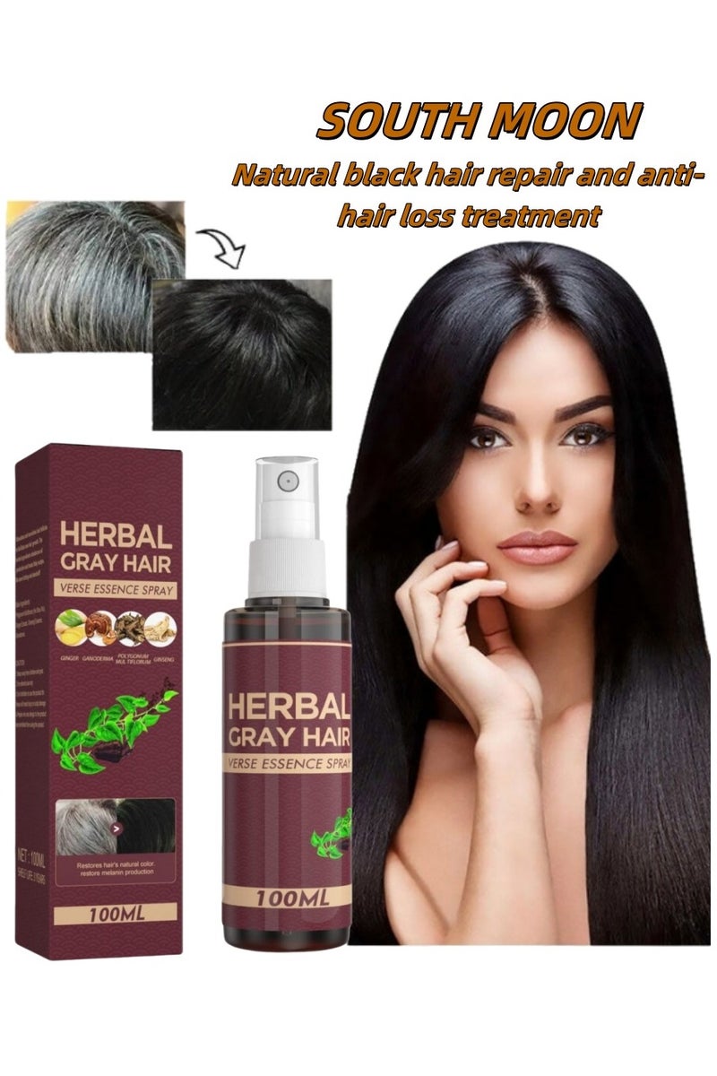 SOUTH MOON Herbal Anti-Gray Hair Growth Spray 100ml - Natural Black Hair Restoration & Anti-Hair Loss Treatment - Image 1