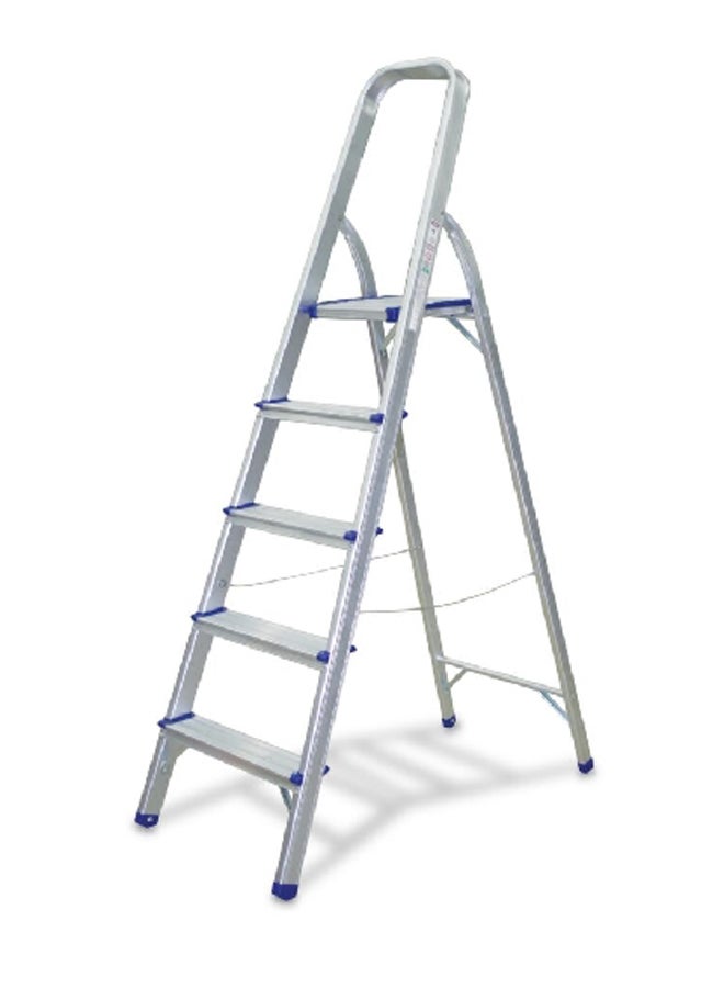 Robinson High Quality Aluminium Handrail 5-Step 120kg Max Load Slip Resistant Ladder Silver  10.5 x 46 x 172 cm R-16005