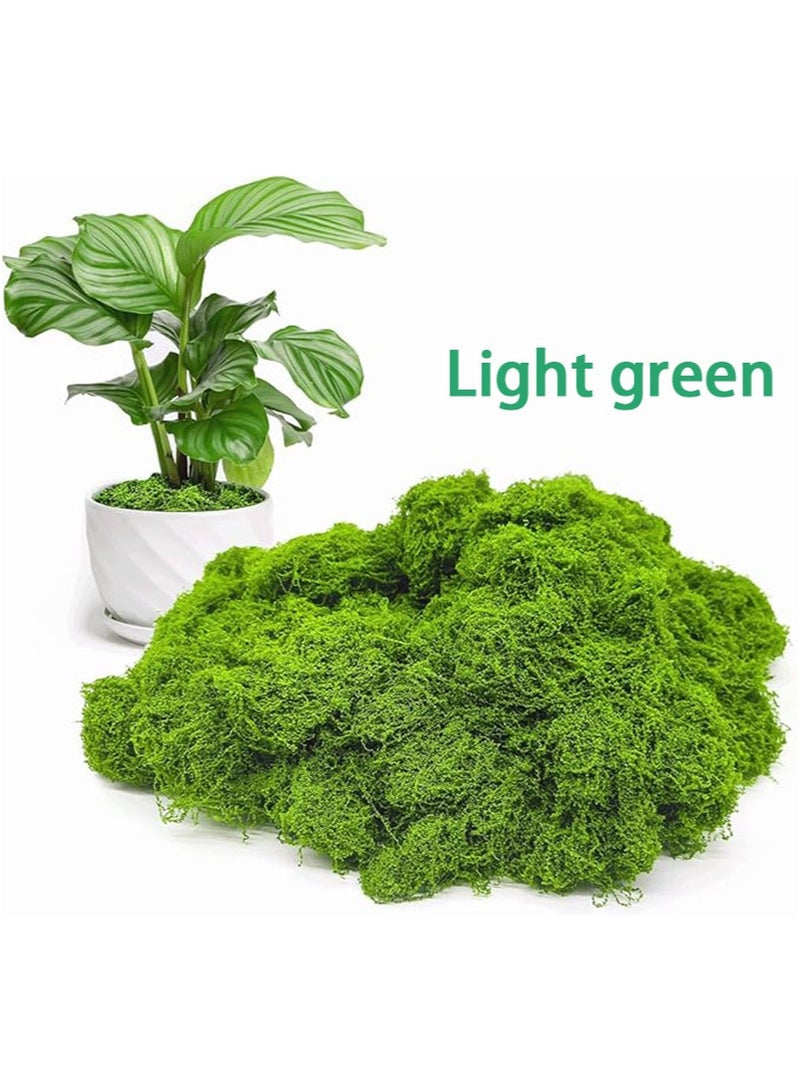 Aikanbo 100 جرام من الطحالب الخضراء المزيفة للنباتات الداخلية في الأص pots، طحالب صناعية، يمكن استخدامها للحرف اليدوية، ديكور حديقة الجنيات، ديكور DIY، صناعة النماذج، الجدران، حاويات الزجاج، المنزل (أخضر فاتح) - Image 1