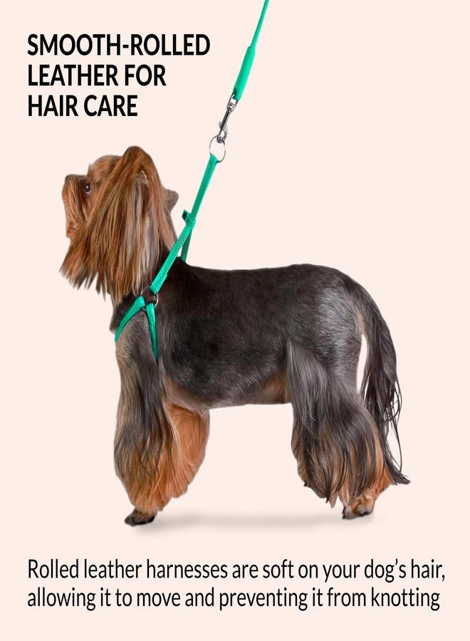 CollarDirect Rolled Leather Dog Harness Small Puppy Step-in Leash Set for Walking Pink Red White Blue Green Black Purple Beige Brown Yellow (Black, XS) - Image 3