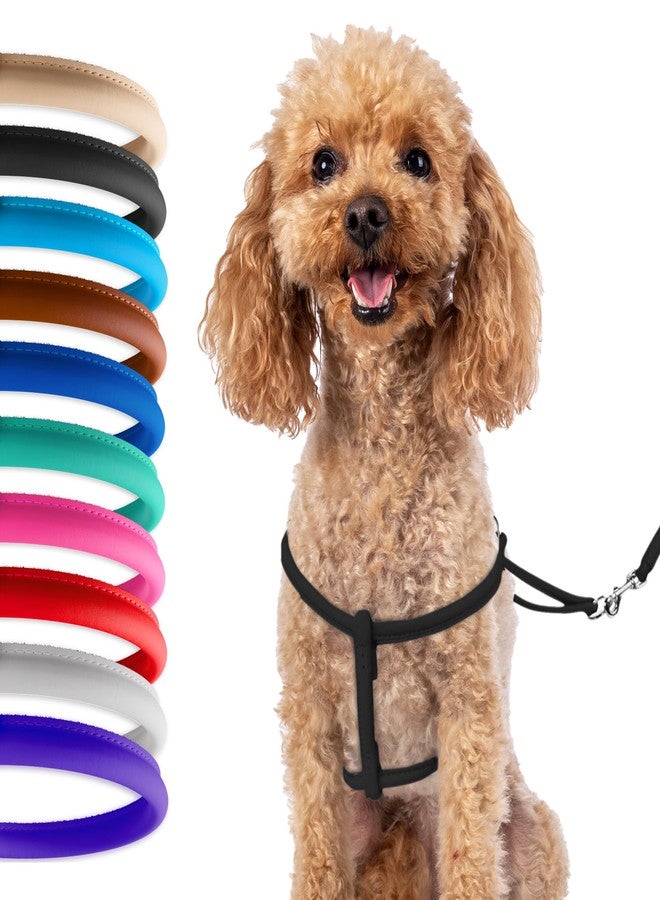 CollarDirect Rolled Leather Dog Harness Small Puppy Step-in Leash Set for Walking Pink Red White Blue Green Black Purple Beige Brown Yellow (Black, XS) - Image 1