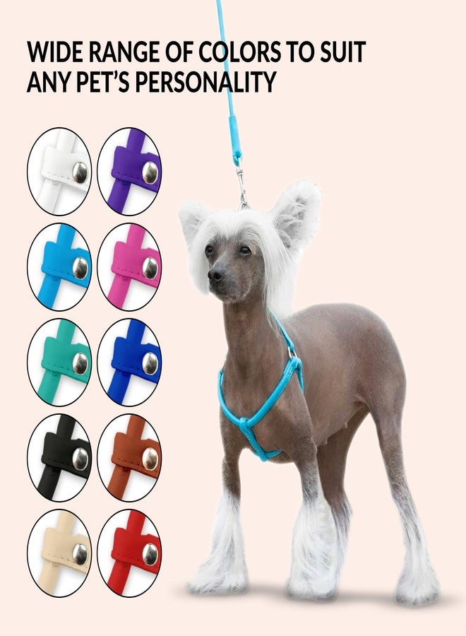 CollarDirect Rolled Leather Dog Harness Small Puppy Step-in Leash Set for Walking Pink Red White Blue Green Black Purple Beige Brown Yellow (Black, XS) - Image 5