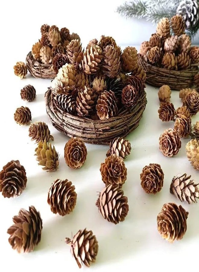 GSHLLO 150 Pcs 1-2cm Mini Pine Cones - Brown, Perfect for Vase Fillers, Table Decorations - Image 4