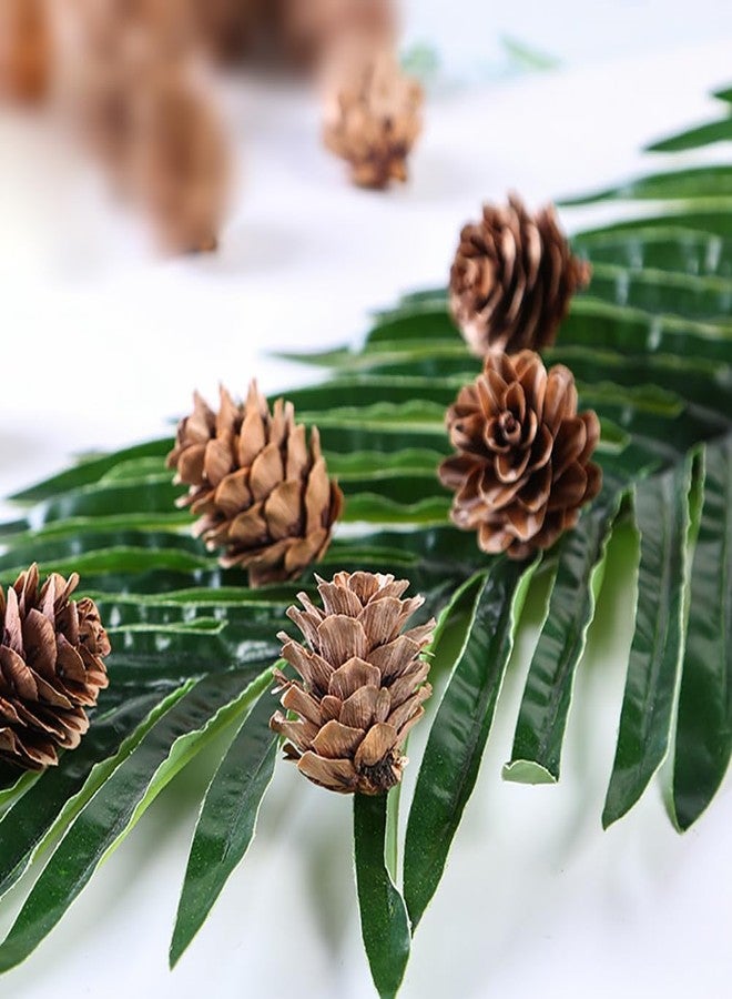 GSHLLO 150 Pcs 1-2cm Mini Pine Cones - Brown, Perfect for Vase Fillers, Table Decorations - Image 2