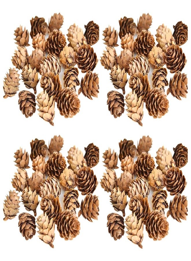GSHLLO 150 Pcs 1-2cm Mini Pine Cones - Brown, Perfect for Vase Fillers, Table Decorations - Image 1