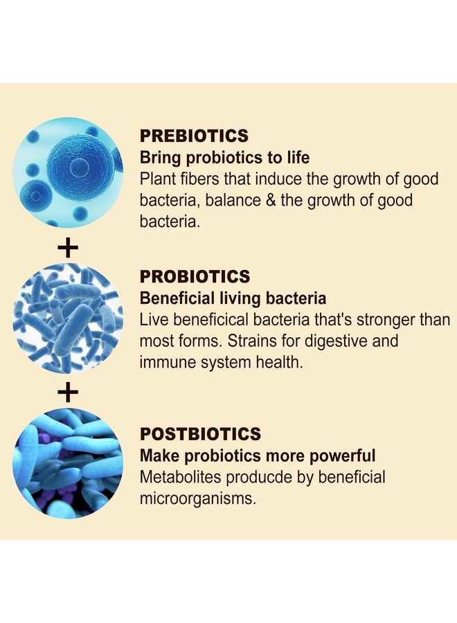 NEVISS جلوبي سكر خالي من السكر مع الكركم والكركمين 550 ملغ للبالغين، زنجبيل وفلفل أسود | 95% كركومينويد مع مزيج من البروبيوتيك والبريبيوتيك والبوستبيوتيك، دعم صحة المناعة والهضم، نباتي، 60 حبة - Image 5