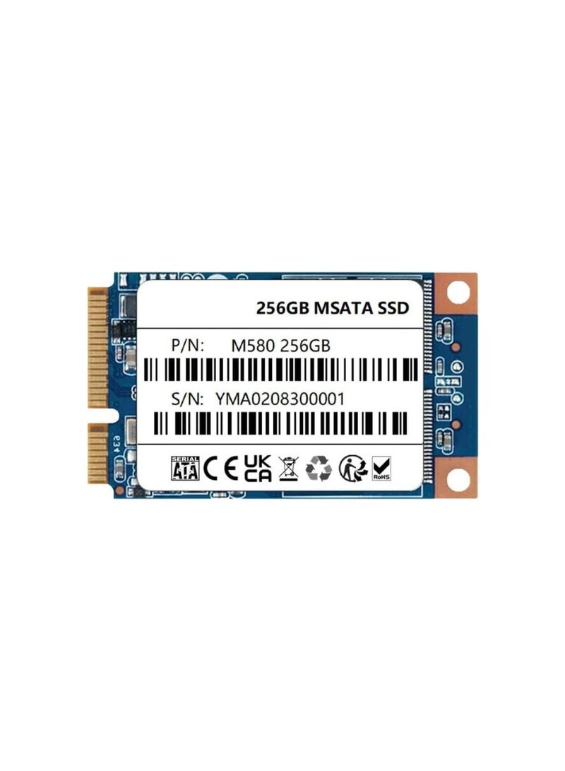 قرص صلب داخلي SSD MSATA III بسعة 256 جيجابايت – تخزين سريع وموثوق لأجهزتك