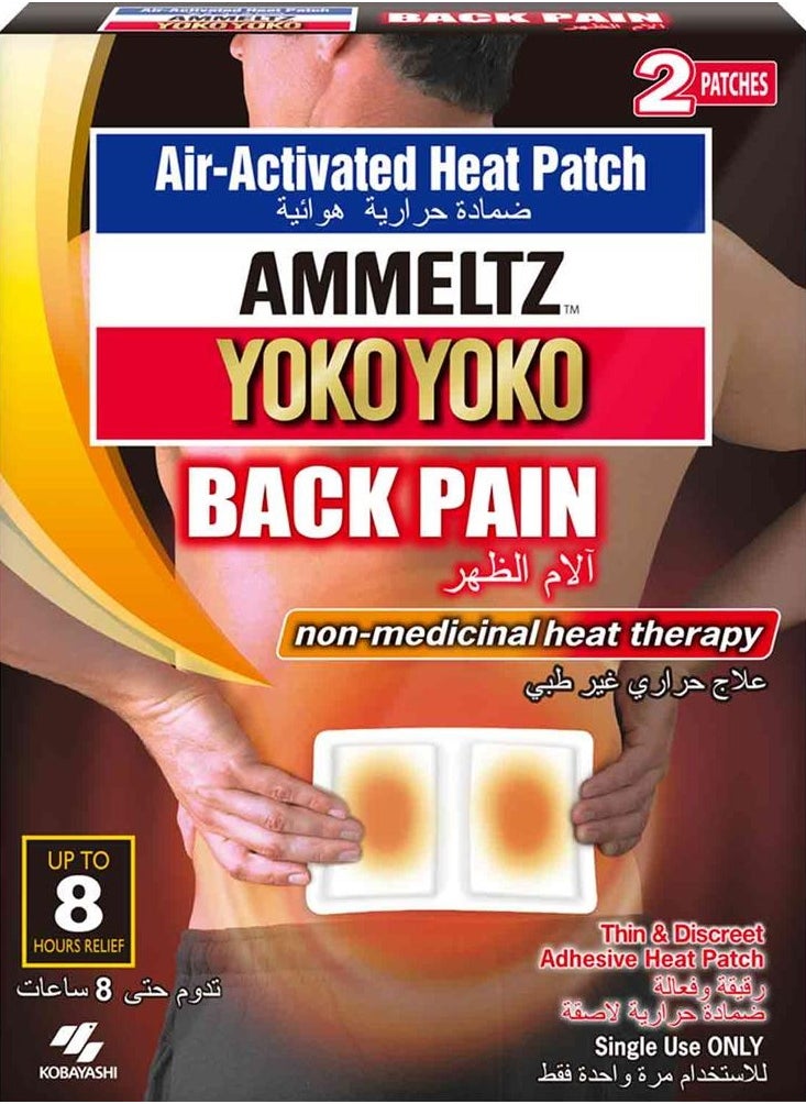 Back Pain Heat Patches 2's - pzsku/Z9D3E6941C375B3CD1DD5Z/45/_/1720446551/fb375f35-8745-4280-8c47-7f48fe3fddfb