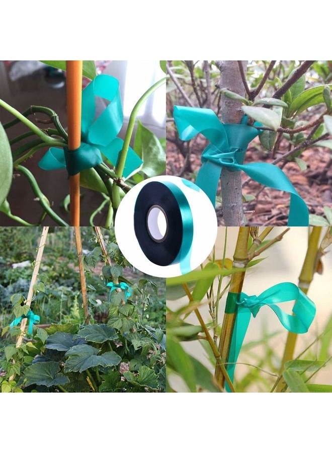 Medoore 2 Rolls Stretch Tie Tape Garden Tie Tape Thick Plant Ribbon Garden Green Vinyl Stake for Indoor Outdoor Patio Plant Use, 1 Inch Wide by 150 Feet Long - Image 3