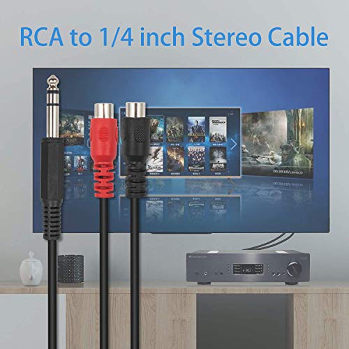 Poyiccot 6.35mm 1/4 inch TRS Stereo Jack Male to 2 RCA Female Plug Y Splitter Adapter Cable 20cm/8inch (635M-2RCAFM) - Image 4