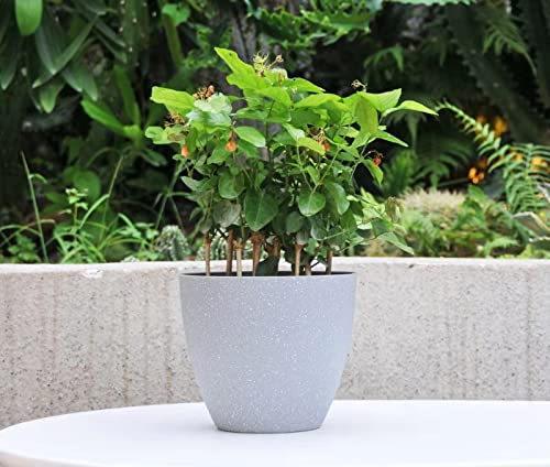 Alexvyan Imported 17 Cm Long Plastic (100% Virgin Plastic) Fashionable Fade Free Flower Plant Pot for Garden Balcony Terrace-Length 17 Cm Top 17 Cm Bottom 10 Cm (Pack of 3) Light Grey. - Image 2