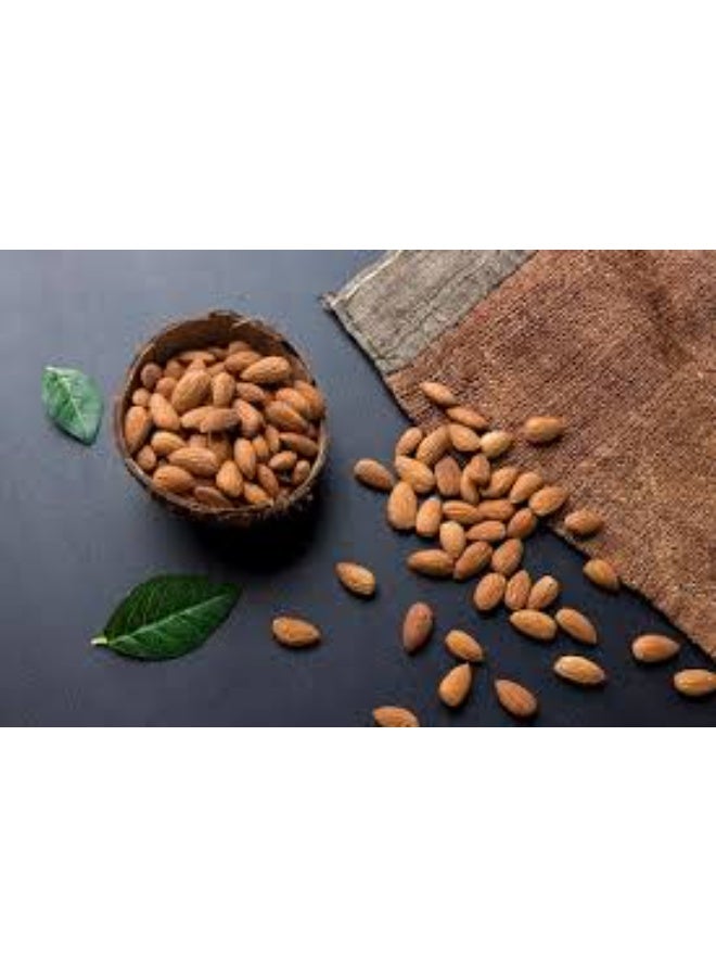 Roasted and salted almonds, medium size - 500 grams, Al-Haboubati brand - Image 5