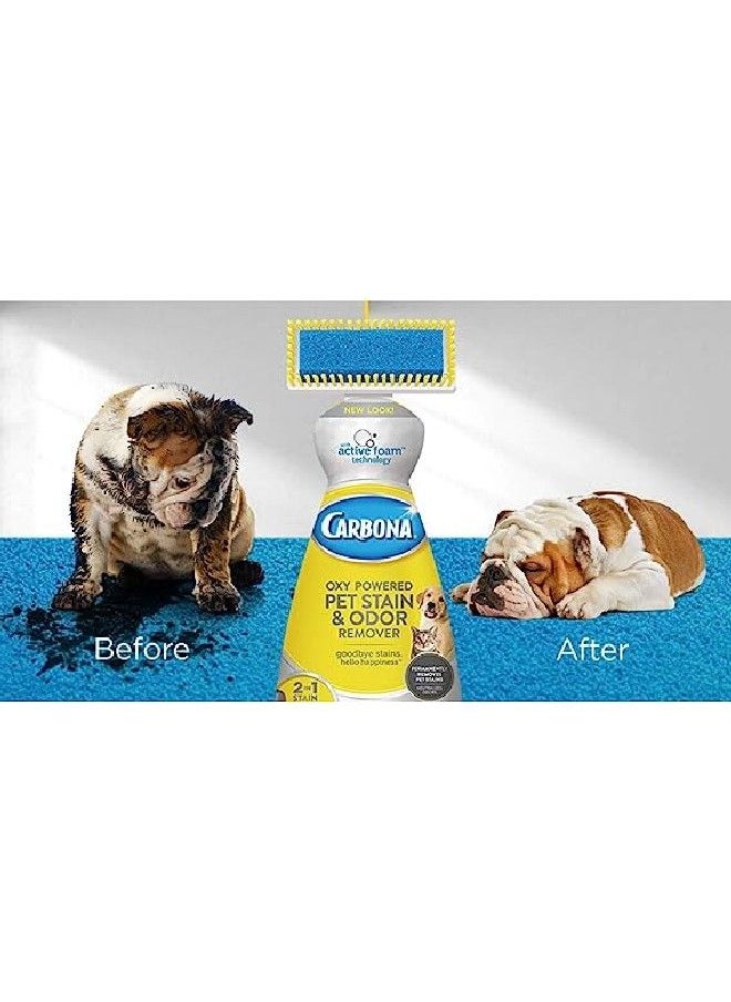 CARBONA - Carbona 22oz 2 in 1 Oxy-Powered Pet Stain & Odor Remover - Image 1