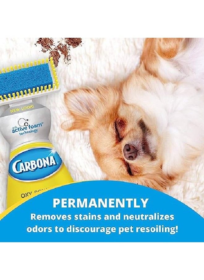 CARBONA - Carbona 22oz 2 in 1 Oxy-Powered Pet Stain & Odor Remover - Image 1