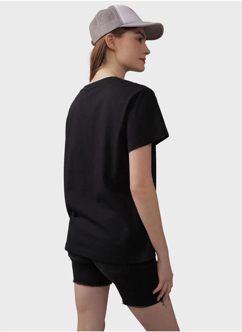 American Eagle Crew Neck Boyfriend T-Shirt