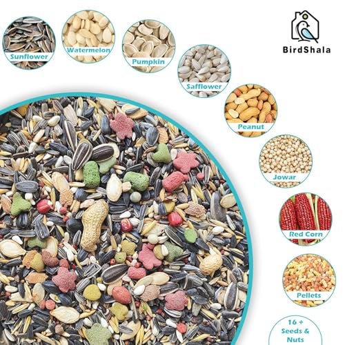 BirdShala Parrot Food for All Life Stages African Grey Parrot,Sun Conure,Macaw,Lovebird and Alexander Premium Seed Blend of Grains, Nuts & Fruit Pellets 500Gm - Image 2