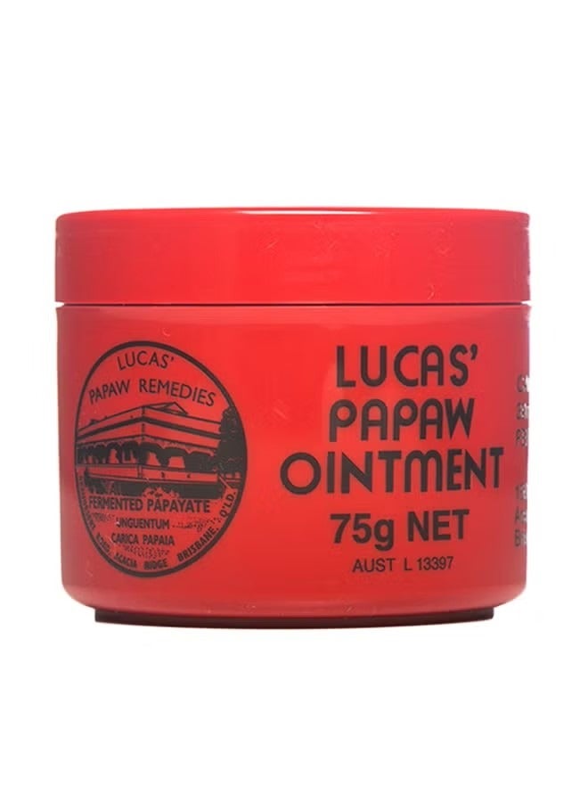 Lucas Papaw Lip Moisturizing Ointment