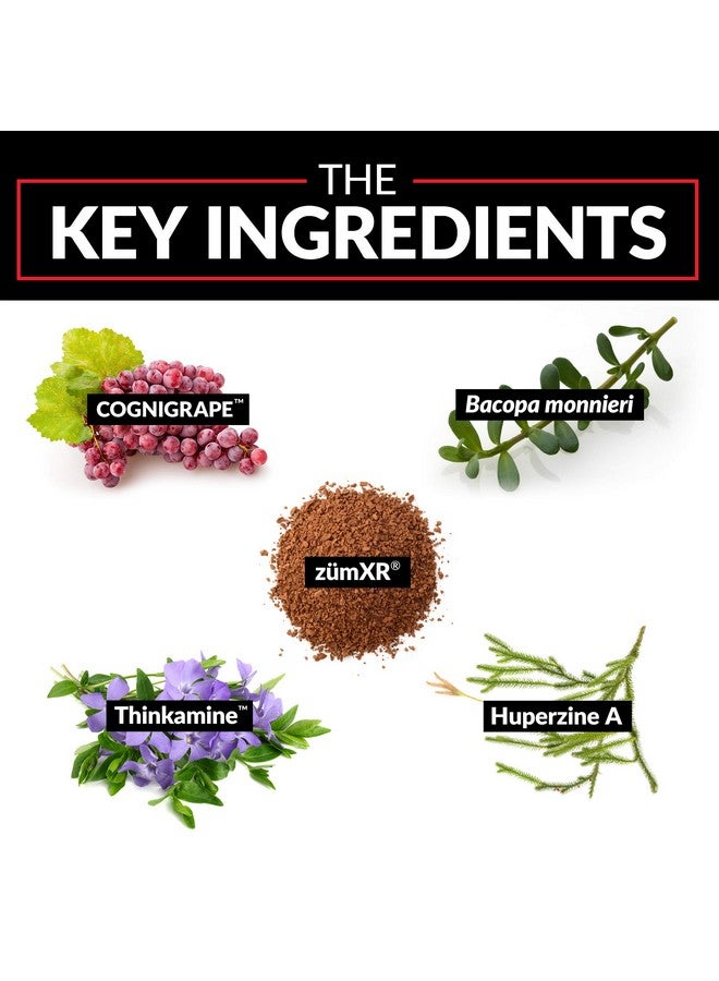 Force Factor Forebrain Nootropic Brain Supplement To Improve Memory Boost Focus Increase Mental Energy And Support Brain Health With Caffeine Bacopa And Huperzine A Force Factor 30 Capsules - Image 4