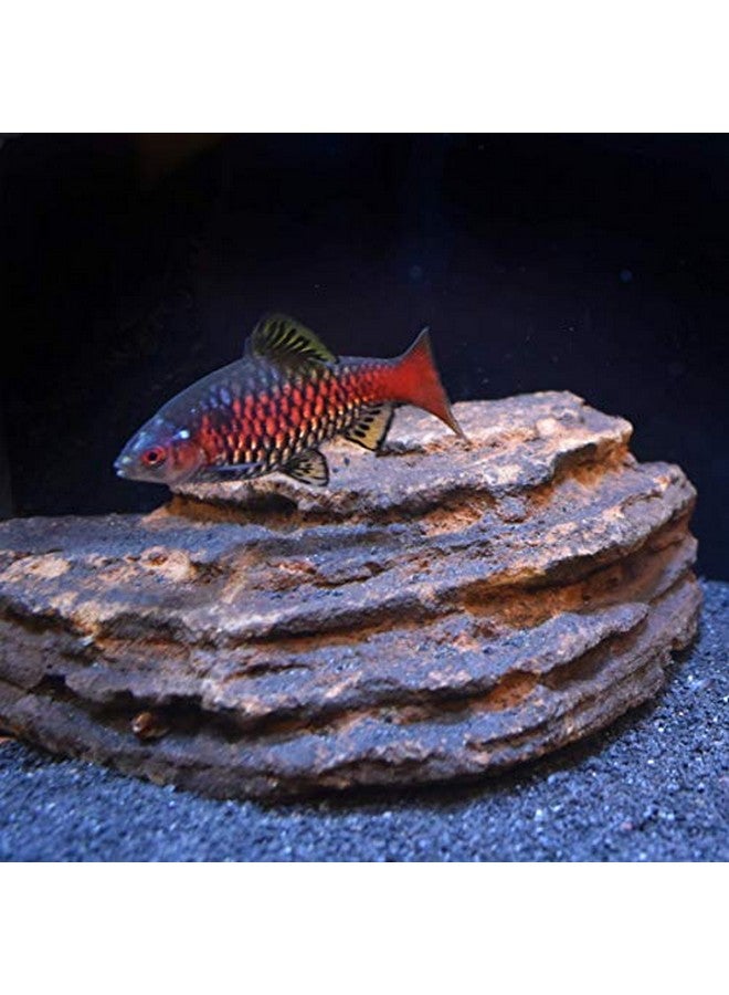 سي تشيم منظم السائل المحايد 500 مل، 16.9 أونصة سائلة. - Image 4