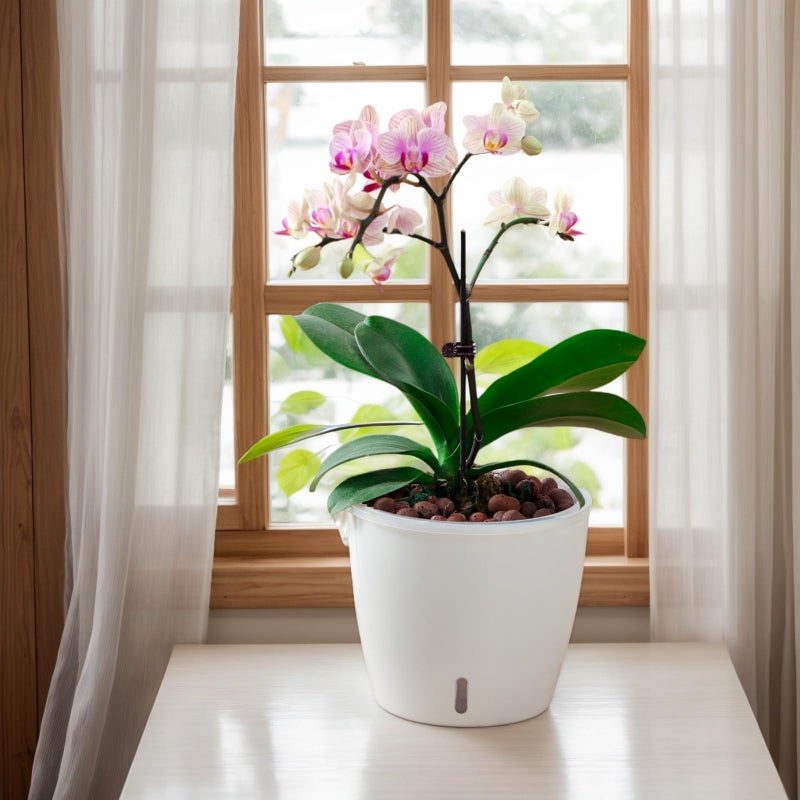 KvyusFlourish Self-Watering Pots for Indoor Plants, 8-Pack Self Watering Planter with Drainage Holes, Small African Violet Pots with Water Indicator, 5 Packs 5''/3 Pack 6.7'' Orchid Pot, White - Image 4