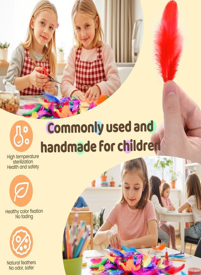 Rasoisof 1600Pcs Colorful Craft Rooster Feathers 3-5-inch Bulk Feathers for Crafting Kindergarten DIY Crafts, Wedding, Family Party Decorations, Dream Catcher Supplies, Natural Feathers (Multicolor) - Image 3