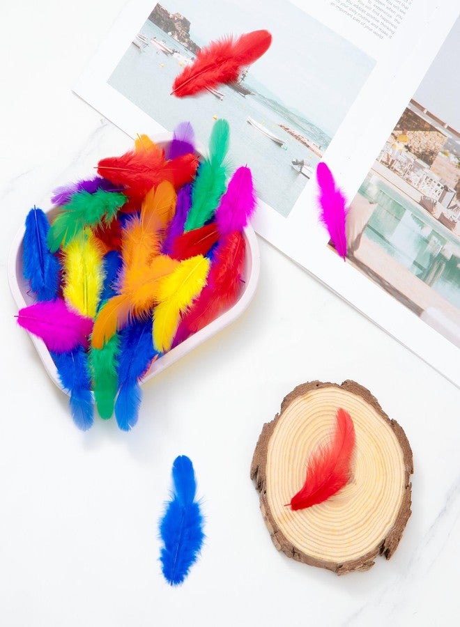 Rasoisof 1600Pcs Colorful Craft Rooster Feathers 3-5-inch Bulk Feathers for Crafting Kindergarten DIY Crafts, Wedding, Family Party Decorations, Dream Catcher Supplies, Natural Feathers (Multicolor) - Image 4