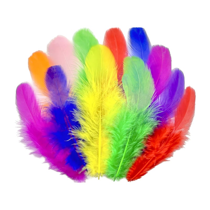 Rasoisof 1600Pcs Colorful Craft Rooster Feathers 3-5-inch Bulk Feathers for Crafting Kindergarten DIY Crafts, Wedding, Family Party Decorations, Dream Catcher Supplies, Natural Feathers (Multicolor) - Image 1