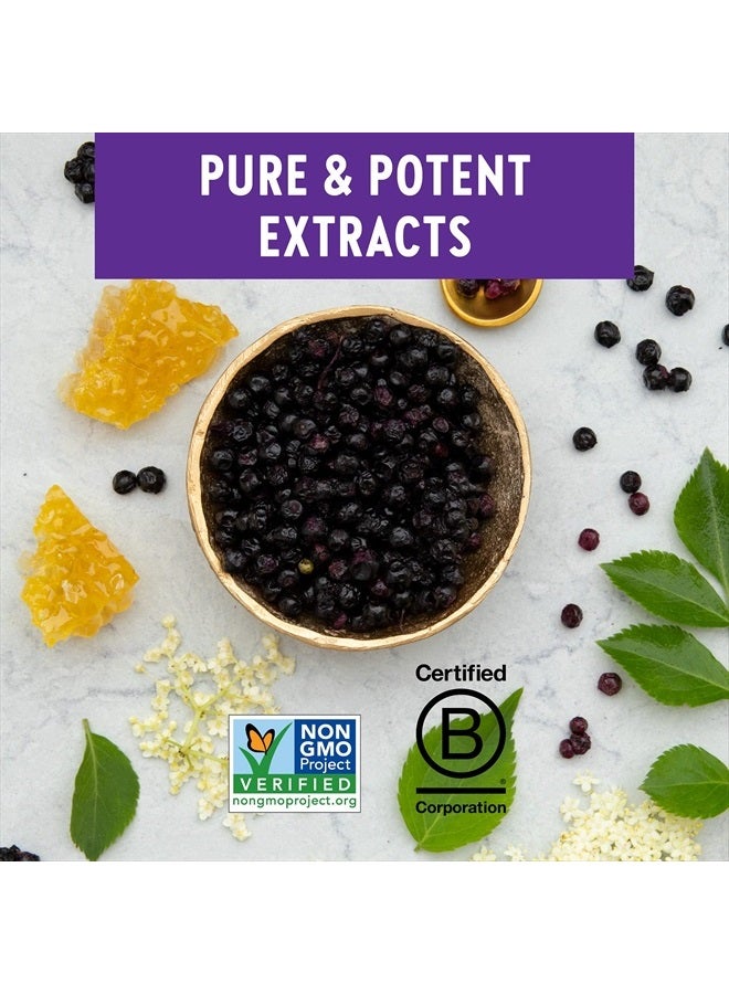 New Chapter Elderberry Syrup, 24 Servings, Immune Defense for Kids (4+) & Adults, 64x Concentrated Black Elderberry + Grade A Honey, No Corn Syrup, Non-GMO, Gluten Free - Image 4