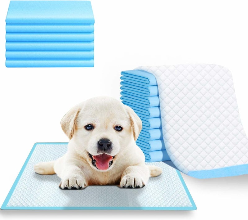 AKSH Disposable Pet Training Pads 60x40 cms Small Puppy Pee and Potty Pads with Quick Drying Surface & Absorbent Core, Suitable for Small/Medium/ Breed Pets, Dogs, Cats - Pack of 1, 20 pcs - Image 1