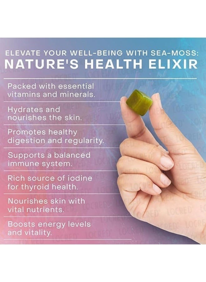 Glow Organic Sea Moss Gummies，Rich in Essential Vitamins and Minerals, It Promotes Digestion, Nourishes The Skin, and Improves Energy and Vitality 60 Gummies - Image 2