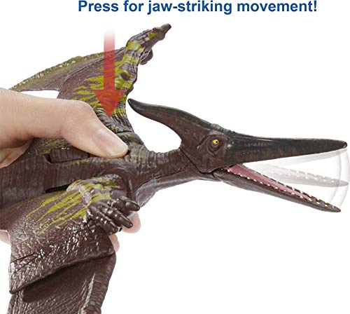 Jurassic World Toys Sound Strike Pteranodon Figure with Strike and Chomping Action, Realistic Sounds, Movable Joints, Authentic Color and Texture; Ages 4 and Up - Image 3