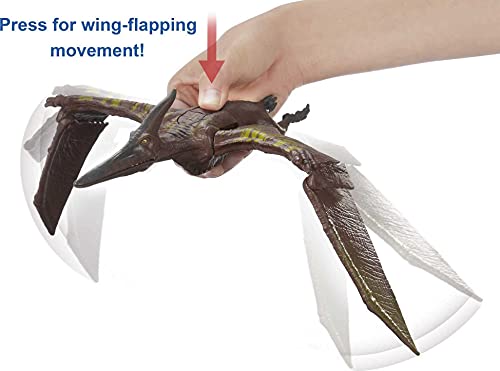 Jurassic World Toys Sound Strike Pteranodon Figure with Strike and Chomping Action, Realistic Sounds, Movable Joints, Authentic Color and Texture; Ages 4 and Up - Image 4