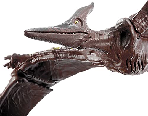 Jurassic World Toys Sound Strike Pteranodon Figure with Strike and Chomping Action, Realistic Sounds, Movable Joints, Authentic Color and Texture; Ages 4 and Up - Image 5