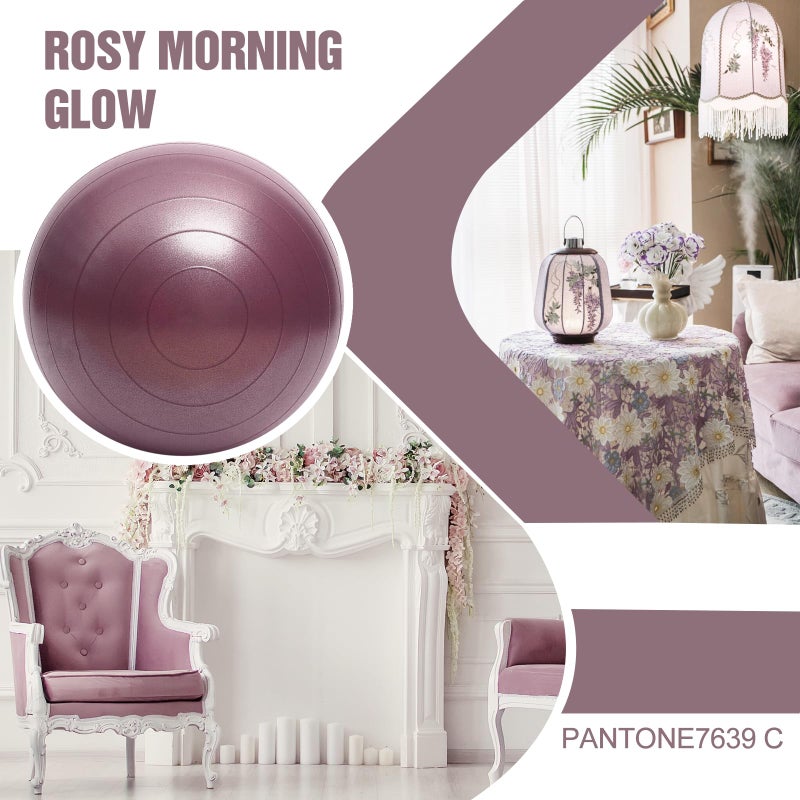 INPANY Peanut Ball - Anti Burst Exercise Ball for Labor Birthing, Physical Therapy for Kids, Core Strength, Home & Gym Fintness (Include Pump) Rose Gold - Image 2