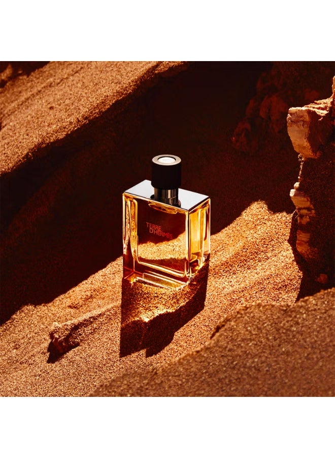 HERME'S PARIS Hermès Terre d'Hermès Pure Perfume 75ml - Image 3