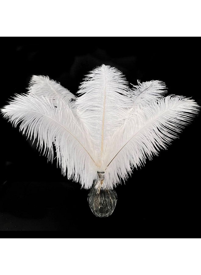 Piokio 20Pcs Natural White Ostrich Feathers 10-12 Inch (25-30Cm) Bulk Feathers Forhome Decoration And Diy Clothes Decoration, Gatsby Decorations - Image 1
