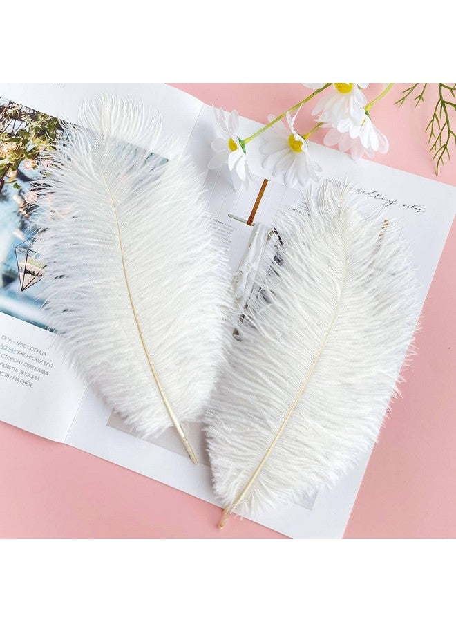 Piokio 20Pcs Natural White Ostrich Feathers 10-12 Inch (25-30Cm) Bulk Feathers Forhome Decoration And Diy Clothes Decoration, Gatsby Decorations - Image 3