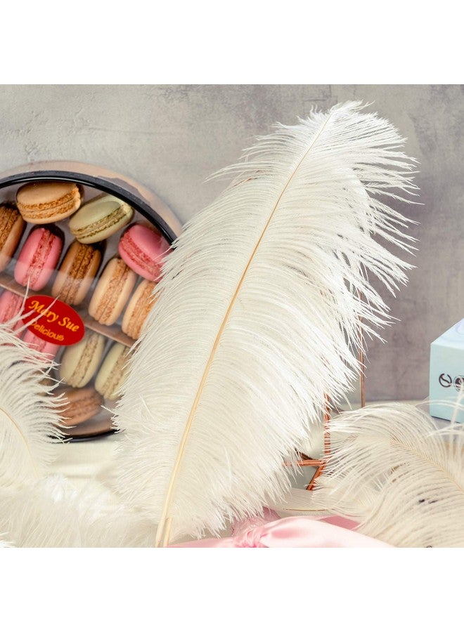 Piokio 20Pcs Natural White Ostrich Feathers 10-12 Inch (25-30Cm) Bulk Feathers Forhome Decoration And Diy Clothes Decoration, Gatsby Decorations - Image 5
