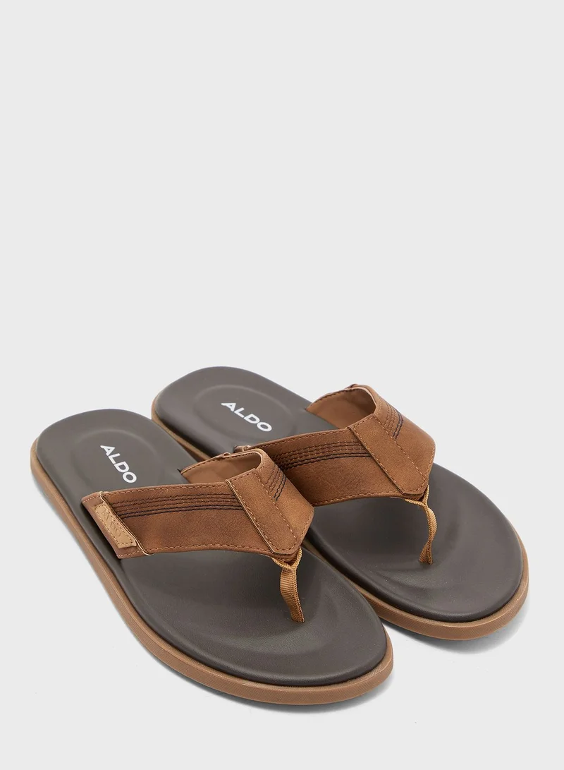 ALDO Colvestone Flip Flops
