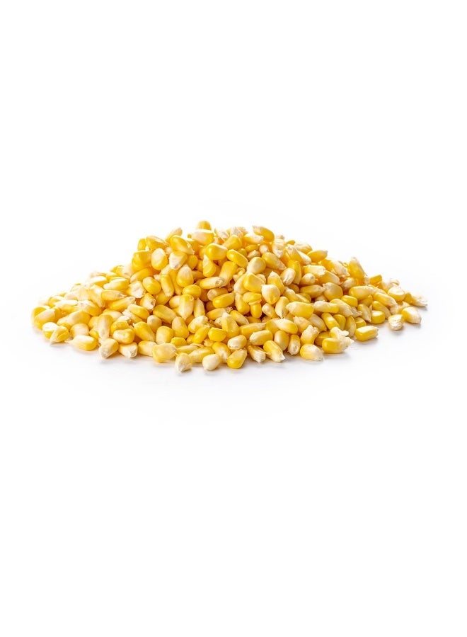 Sweet Corn Nipped  250g