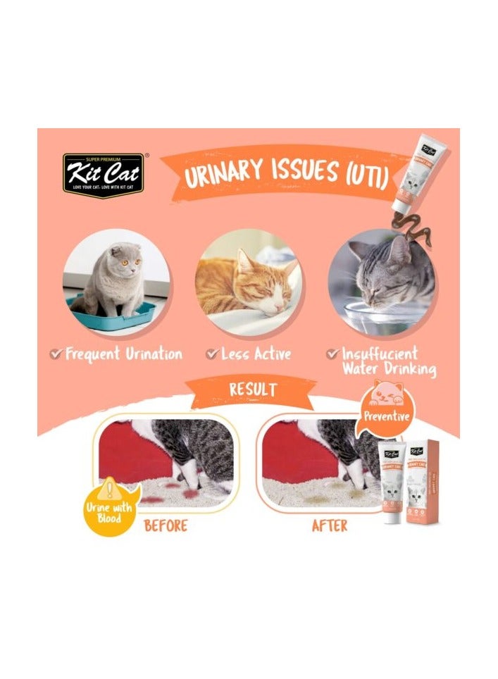 كيت كات مكمل غذائي يومي من كيت كات جل للقطط والقطط الصغيرة – العناية بالبول (120 جرام) - Image 2