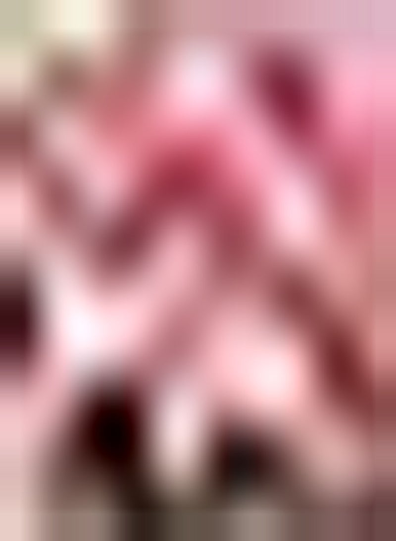 GGOOT 2 rosafarbene Amaryllis Zwiebeln die in Gärten im Freien gepflanzt Werden bilden eine Standard Gartenlandschaftsblüte Elegant und schön angenehmes Aroma - Image 2