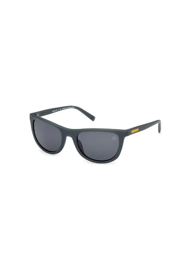 Timberland  wayfarers sunglasses for Men | Best Price UAE