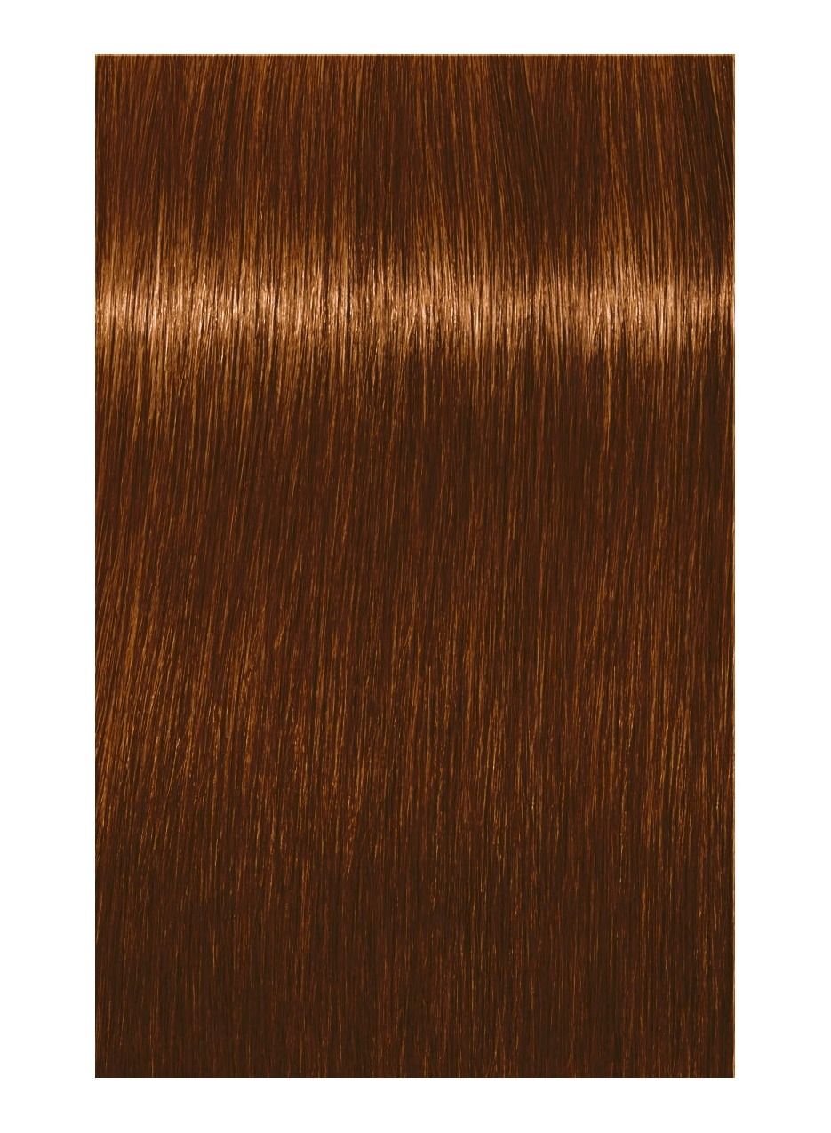 INDOLA XpressColor Haarfärbemittel – 7.44, 60 Ml, Bis Zu 3x Schnellere Grauabdeckung