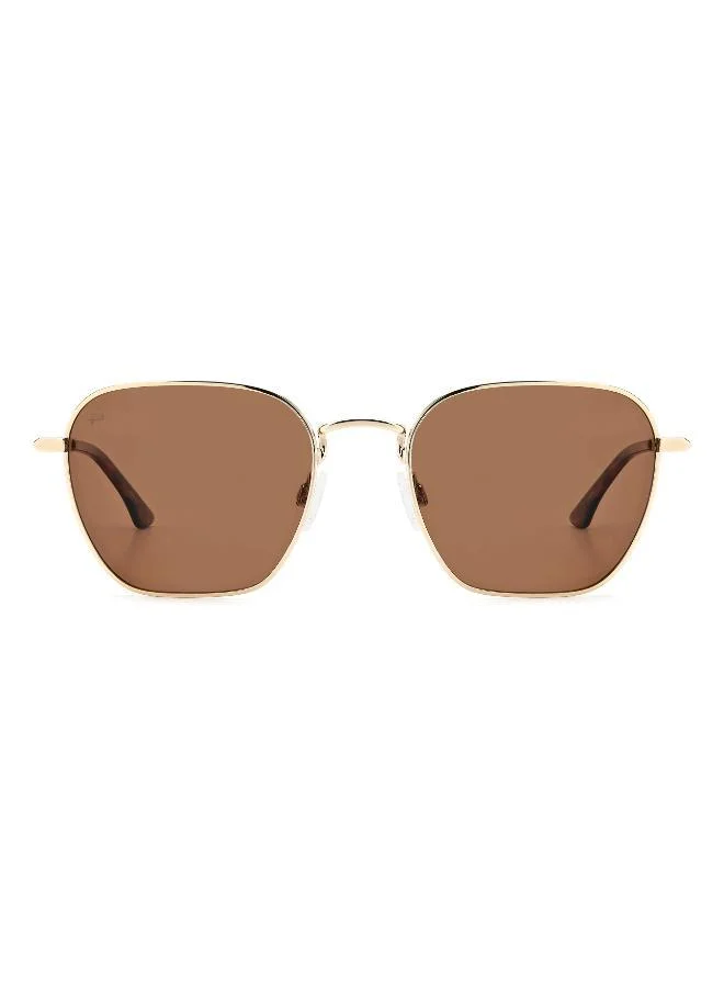 PRIVÉ REVAUX Wayfarers Sunglasses